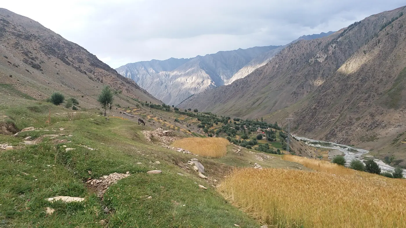 Chamrot Village Astore Pakistan