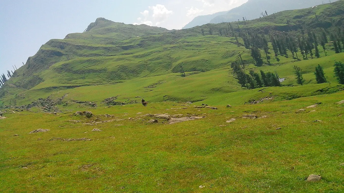 Bagh, Azad Kashmir