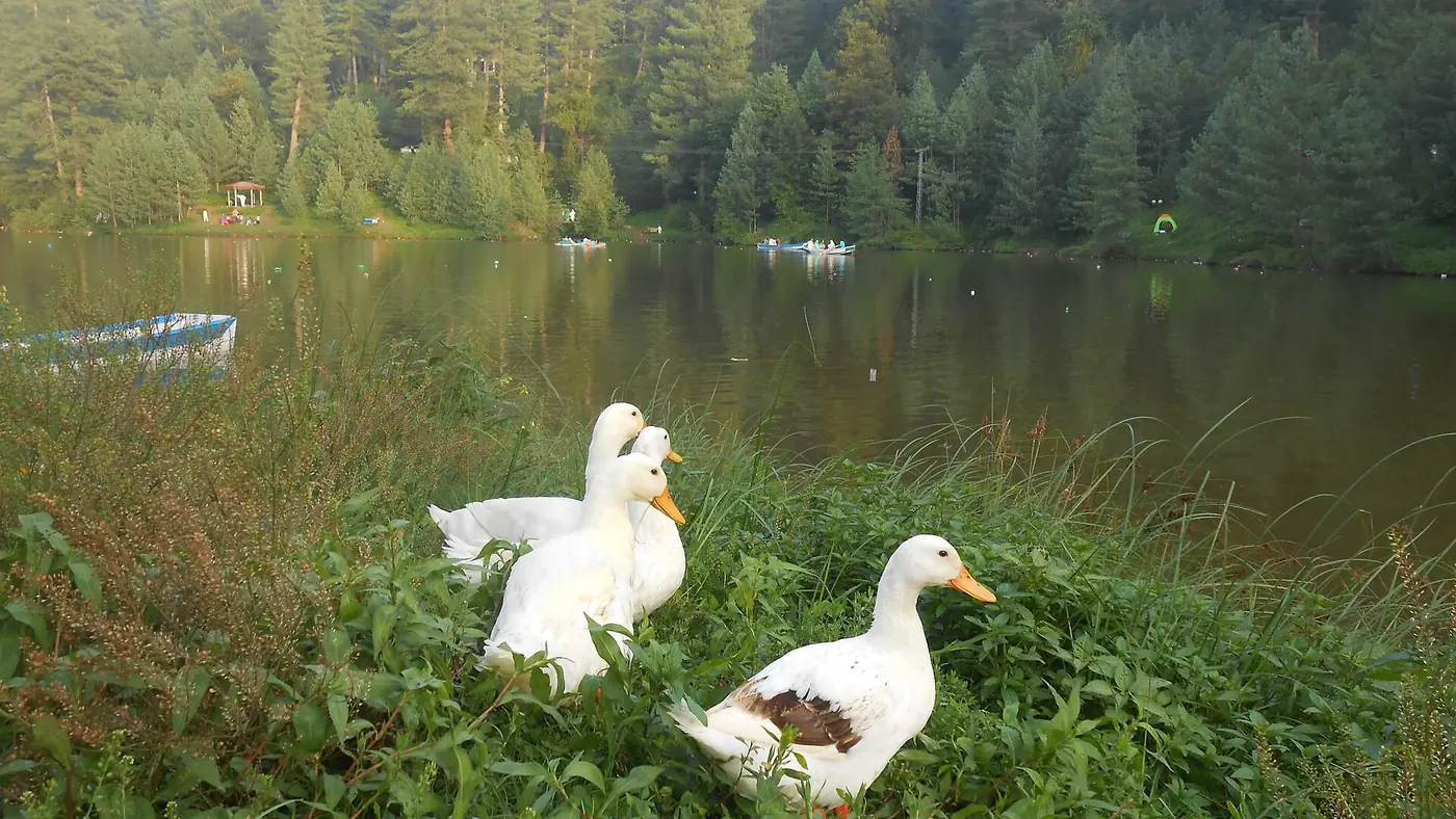 Banjosa Lake, Azad Kashmir