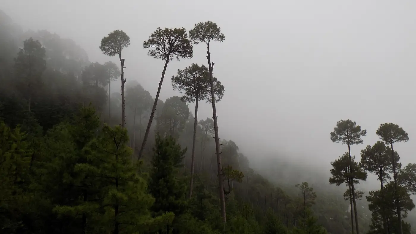 Standing Tall Among All, Bansra Gali