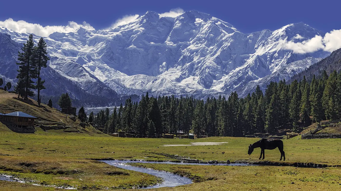 Beyal, Gilgit-Baltistan