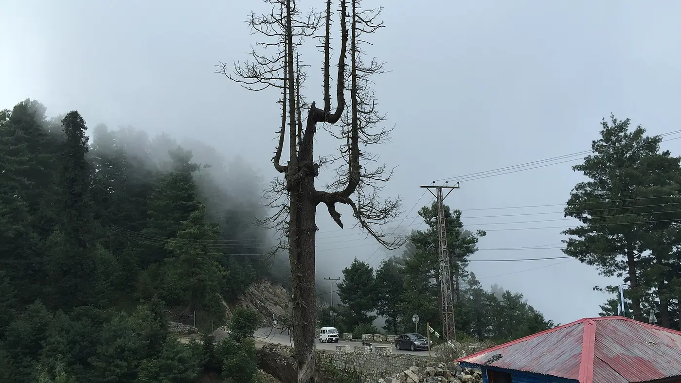 Changla Gali, Khyber Pakhtunkhwa