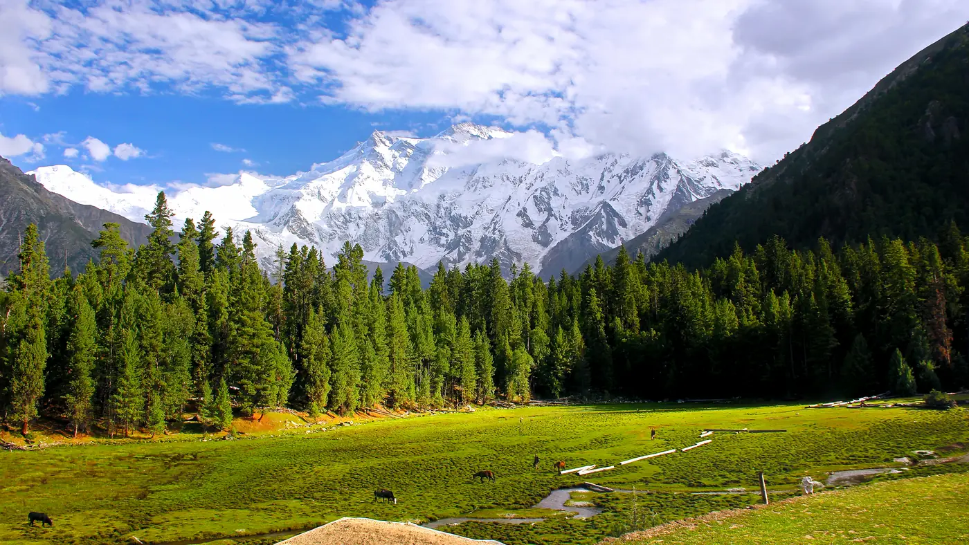 Fairy Meadows, Pakistan