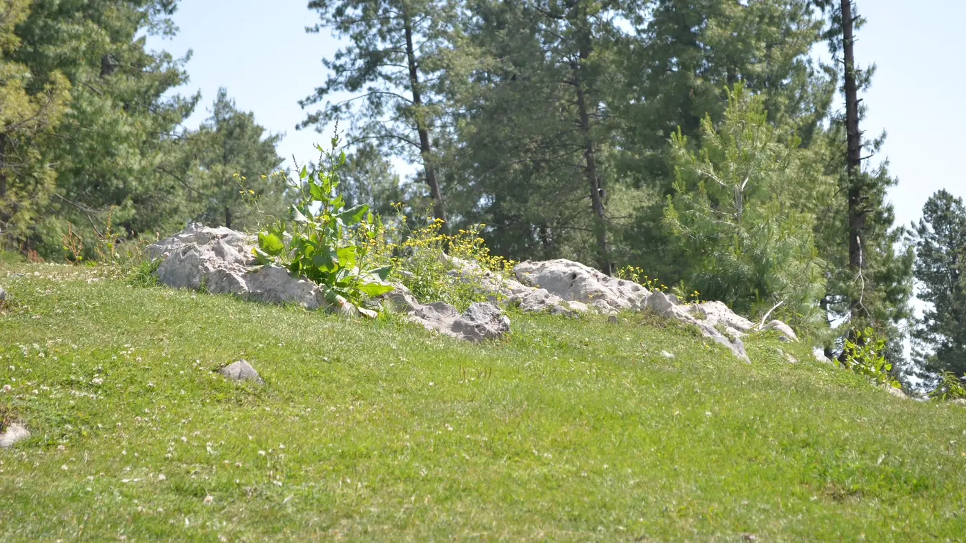 Thandiani, Galiyat area of Pakistan