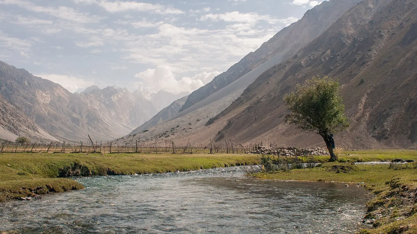 Jungle Golen Gol, Chitral, KPK, Pakistan