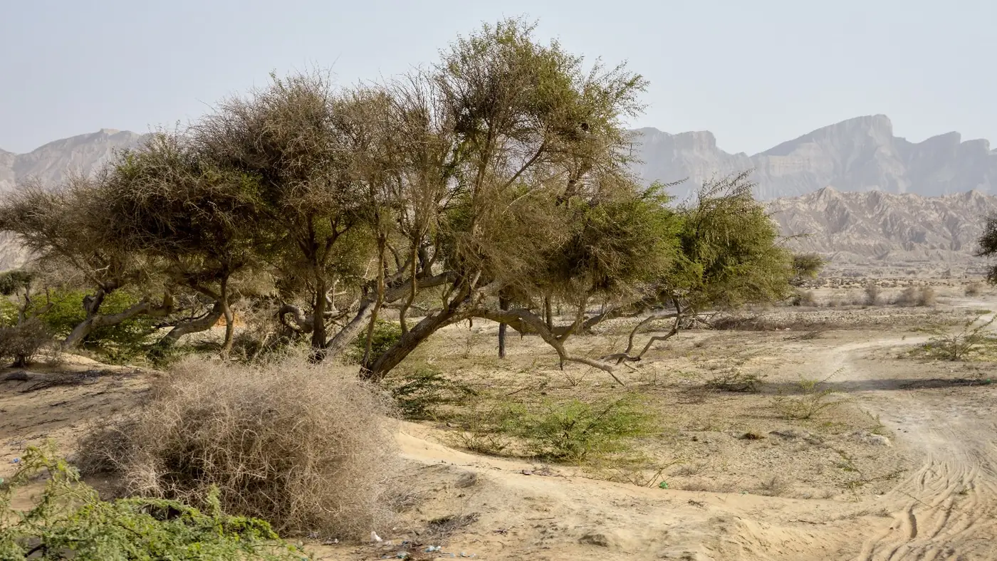 Hingol National Park (20180507-WA