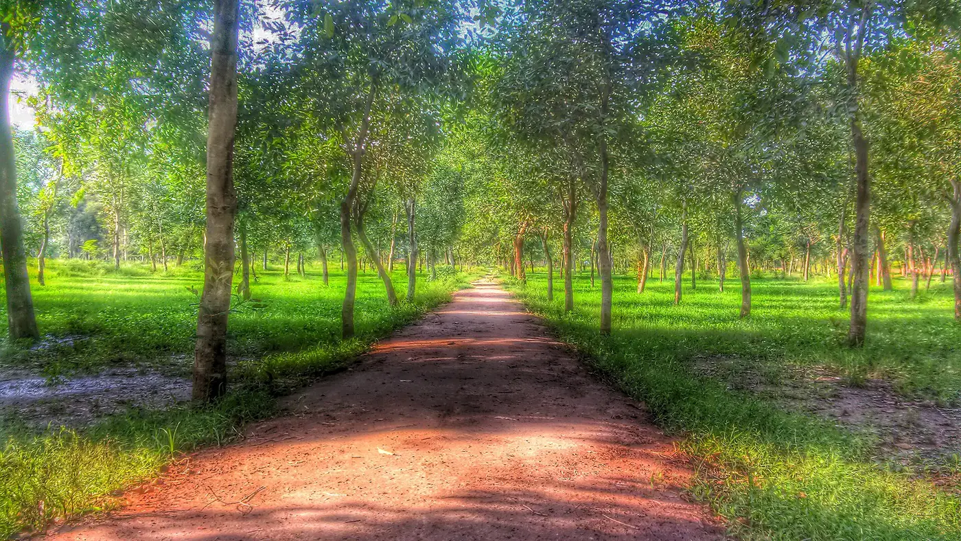 Jallo Park, Jilani Park