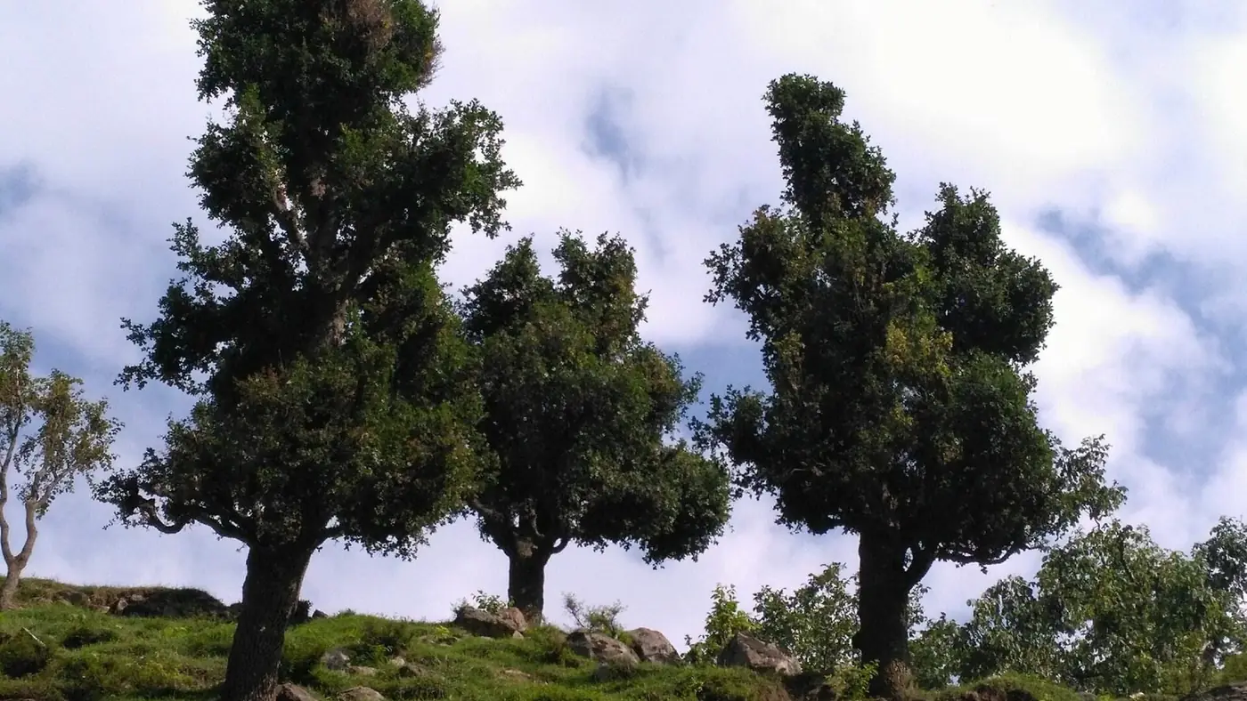 Kalam, Khyber Pakhtunkhwa