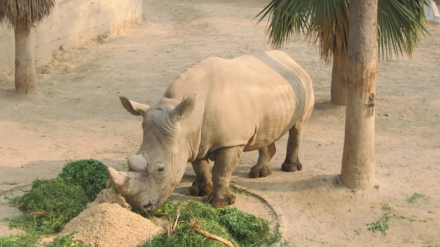 Lahore Zoo, Punjab & Islamabad