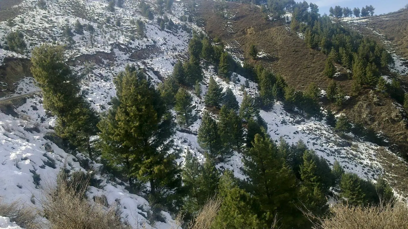 Laram Top, Khyber Pakhtunkhwa