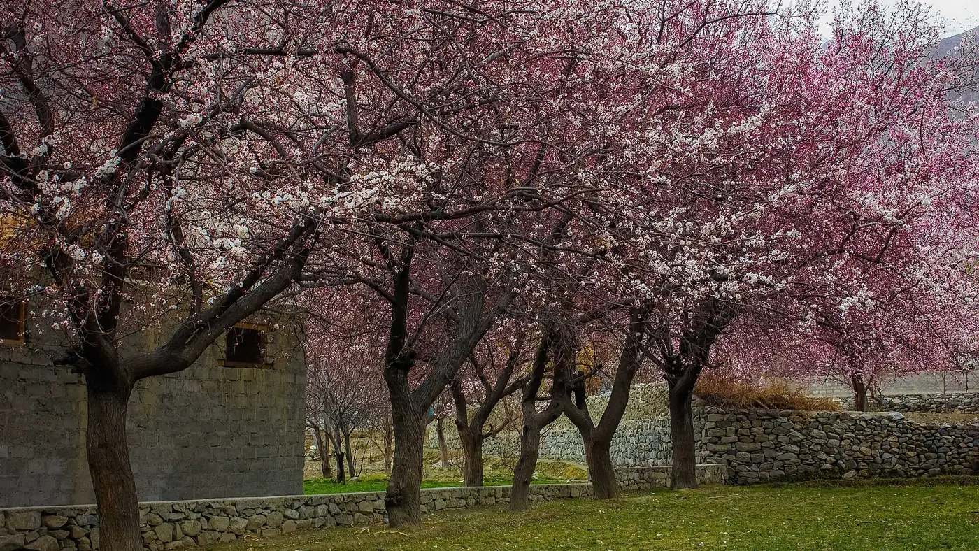 Nomal, Gilgit & Baltistan Pakistan