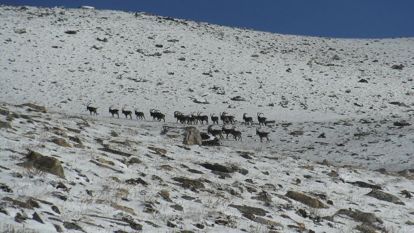Patundas, Gilgit-Baltistan