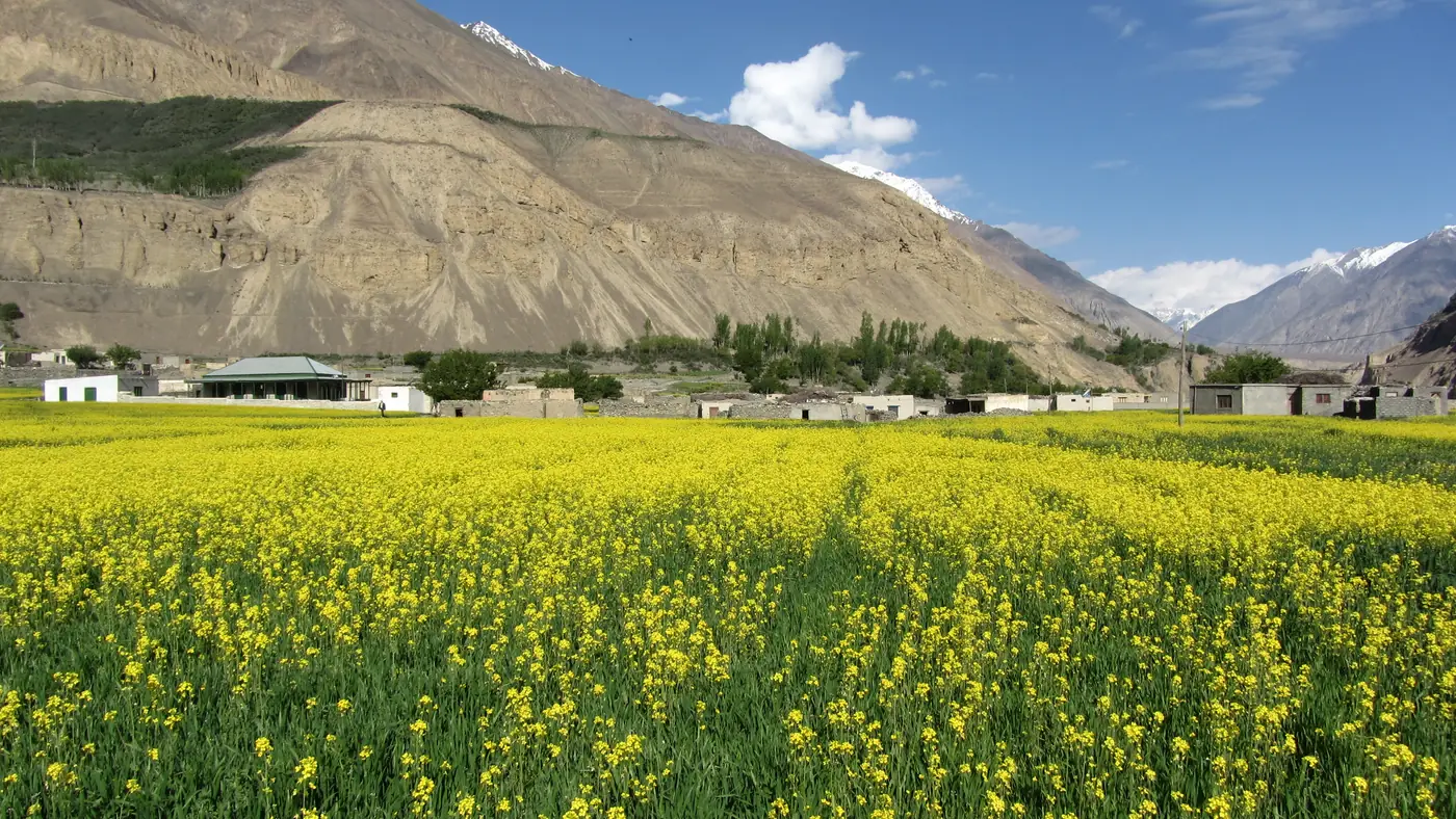 File:Summer in Shimshal