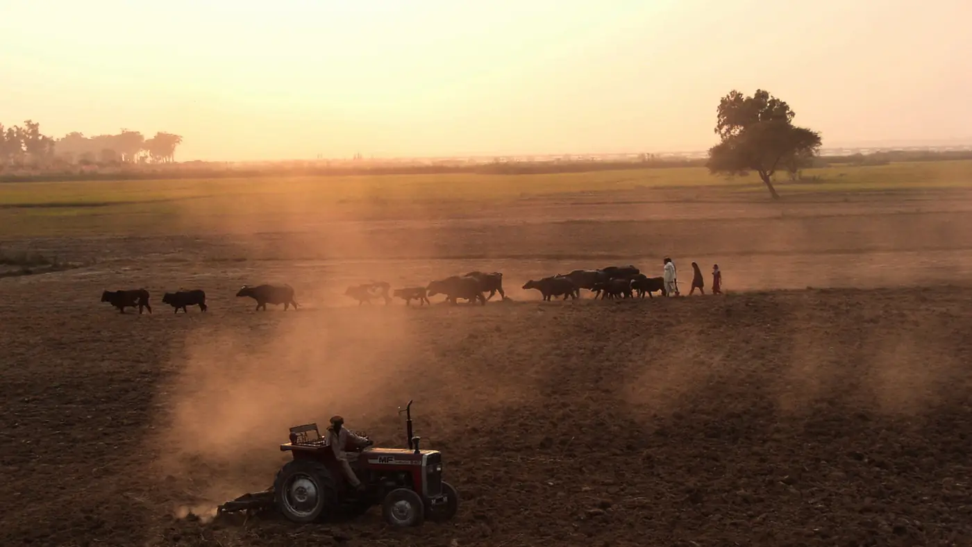 Local farmer at work, Bajwat sector, Sialkot, Pakistan