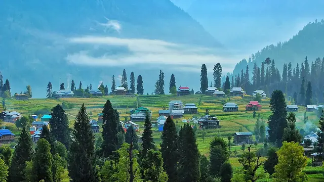 Arang Kel