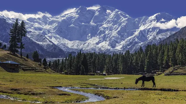 Fairy Meadows and the view of Nanga Parbat, Beyal