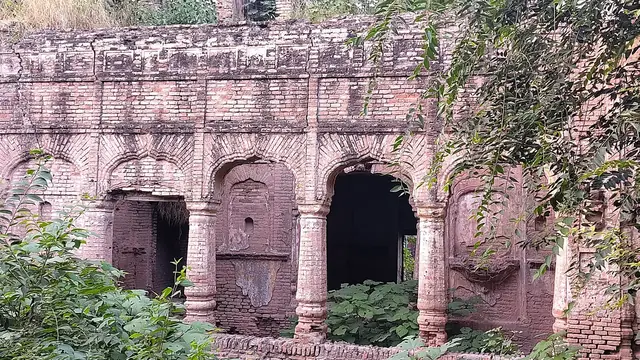 Haveli Sujan Singh overgrown walls