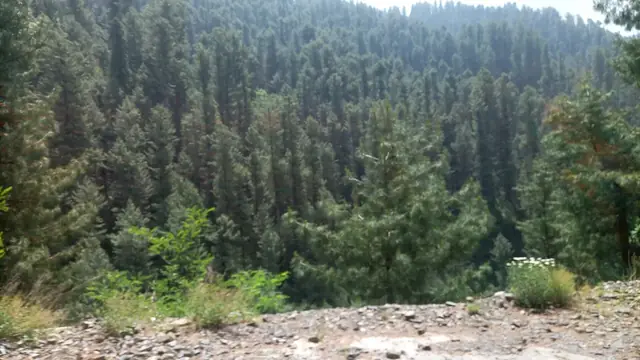 Nathiagali KP Pakistan