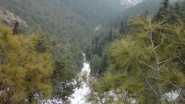 Nathia Gali, Muree, Pakistan
