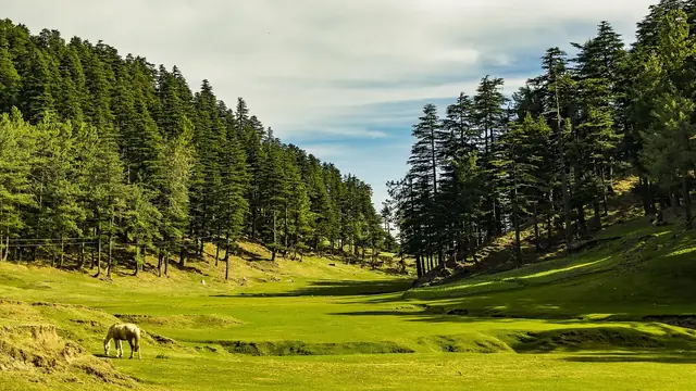 Sirikot, Azad Kashmir, Shaheed Gali