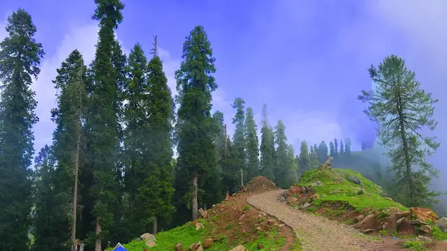 Track towards Ganga Choti Sudhan Gali AJK Northern Pakistan