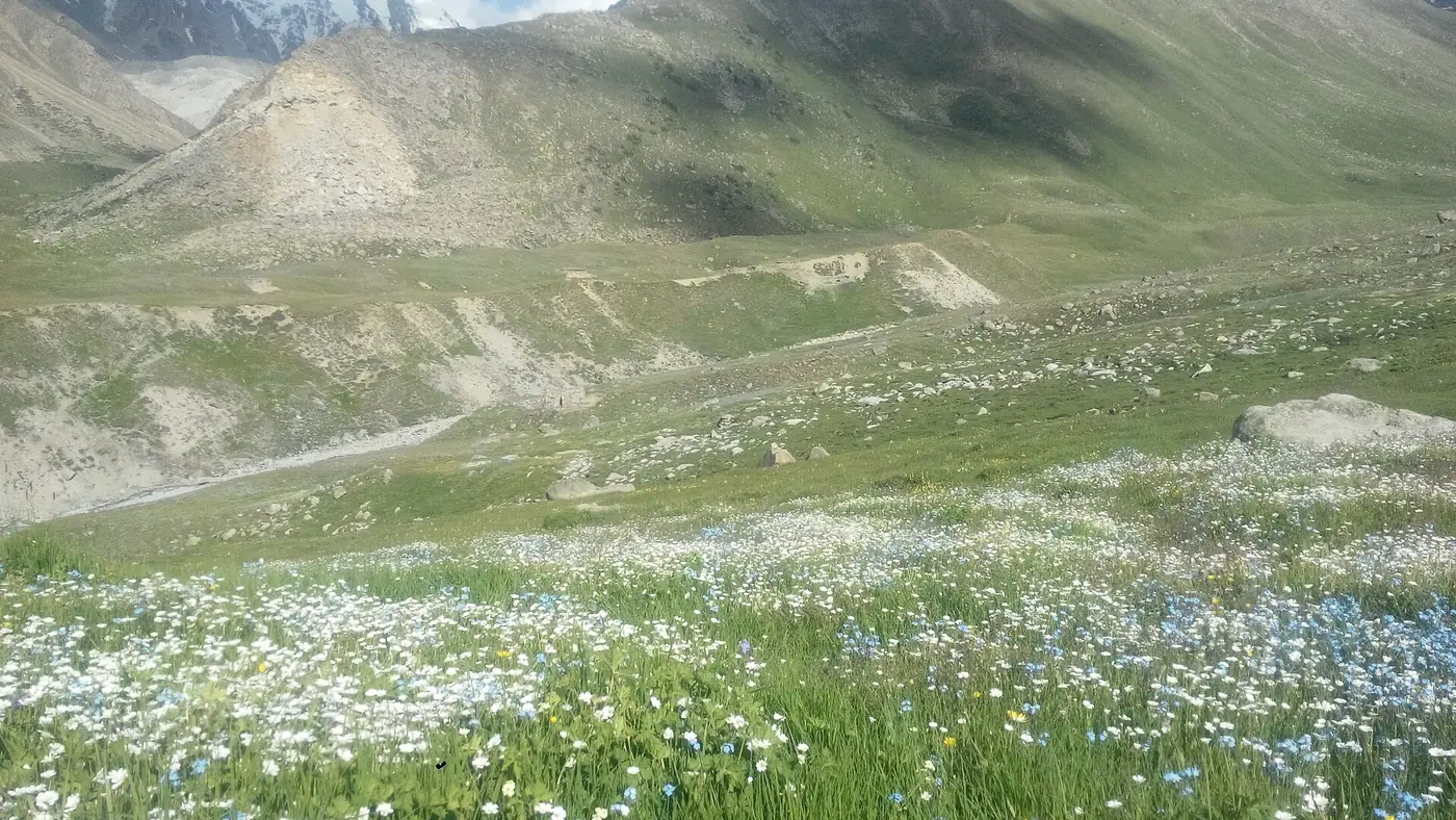 Sky touching killer mountain and lush green Mazino plains in Diamer, Gilgit Baltistan, Tangir Valley