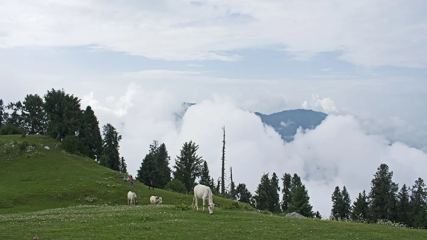 Nathiagali Donga Gali - Mushkpuri trail