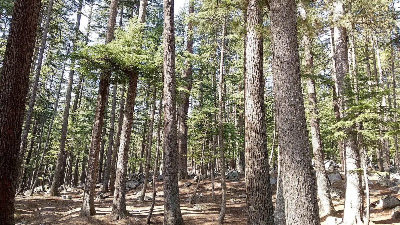 Ushu, Khyber Pakhtunkhwa