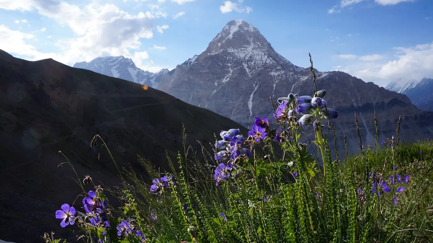 Bamansoor chitral, Zani Pass